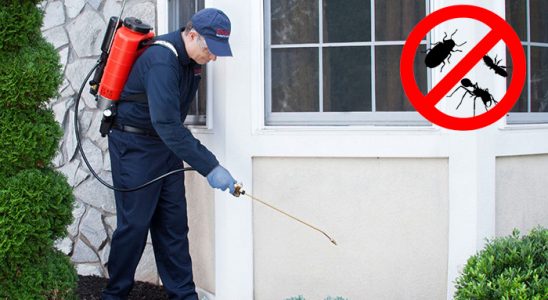 Karamürsel Akrep İlaçlama böcek ilaçlama ve haşere kontrolü — ilaclama-tr.com
